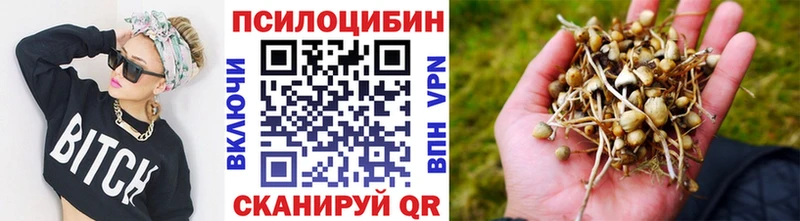 Псилоцибиновые грибы Magic Shrooms  ссылка на мегу ONION  Баймак  купить наркотик 